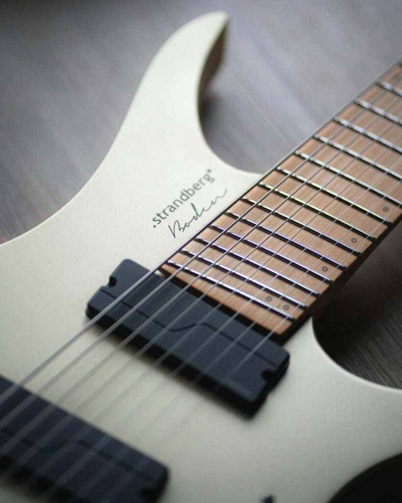 チェンバードボディ エレキギター選び 豆知識 strandberg guitar