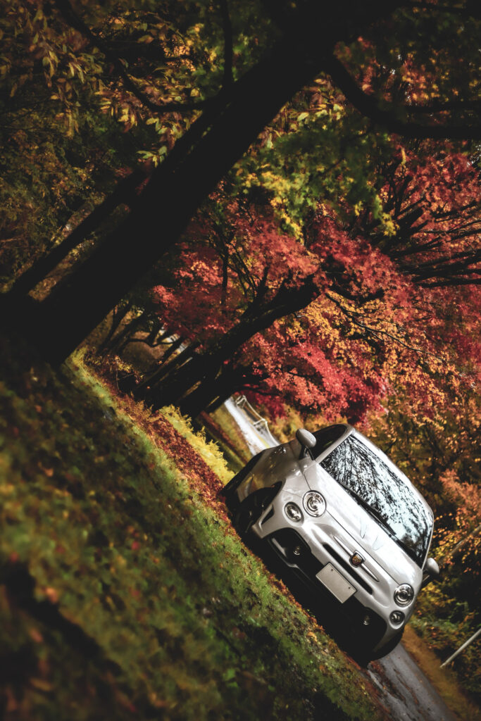 フィアット　アバルト　紅葉