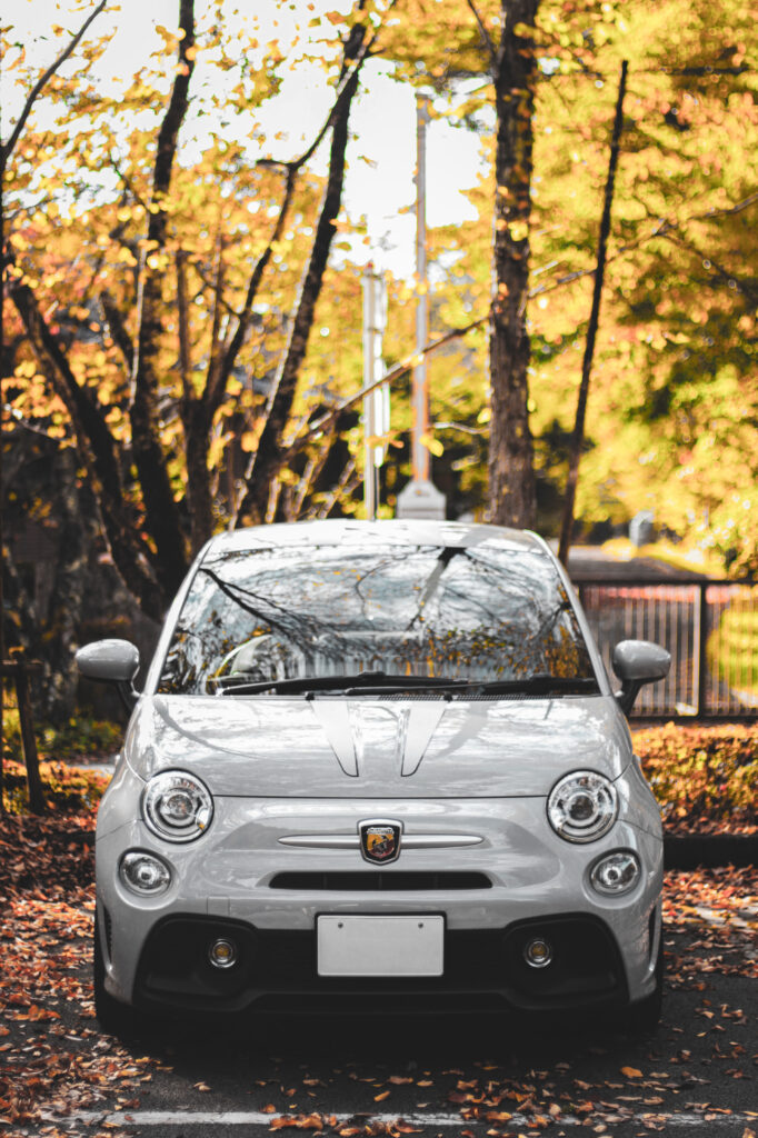 フィアット　アバルト　紅葉