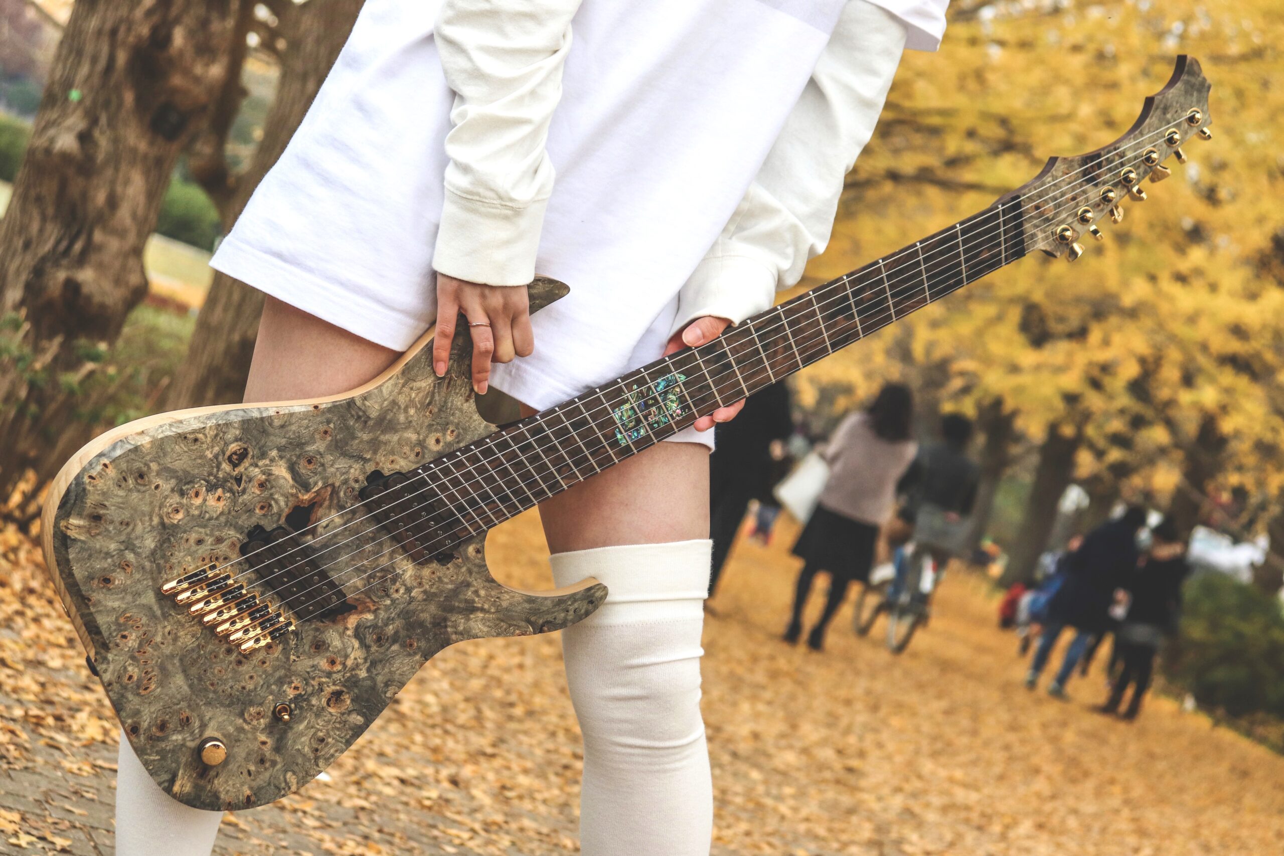 Fafnir（ファフニール） – 楽器製作所RMI